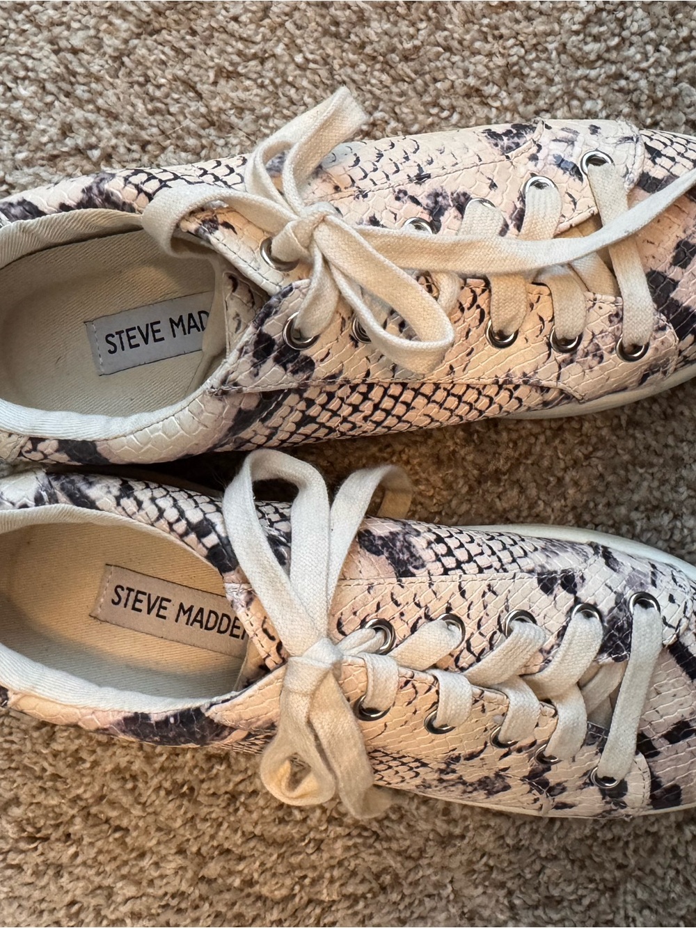 Steve Madden Women's Snake-Print Sneakers in Cream and Black